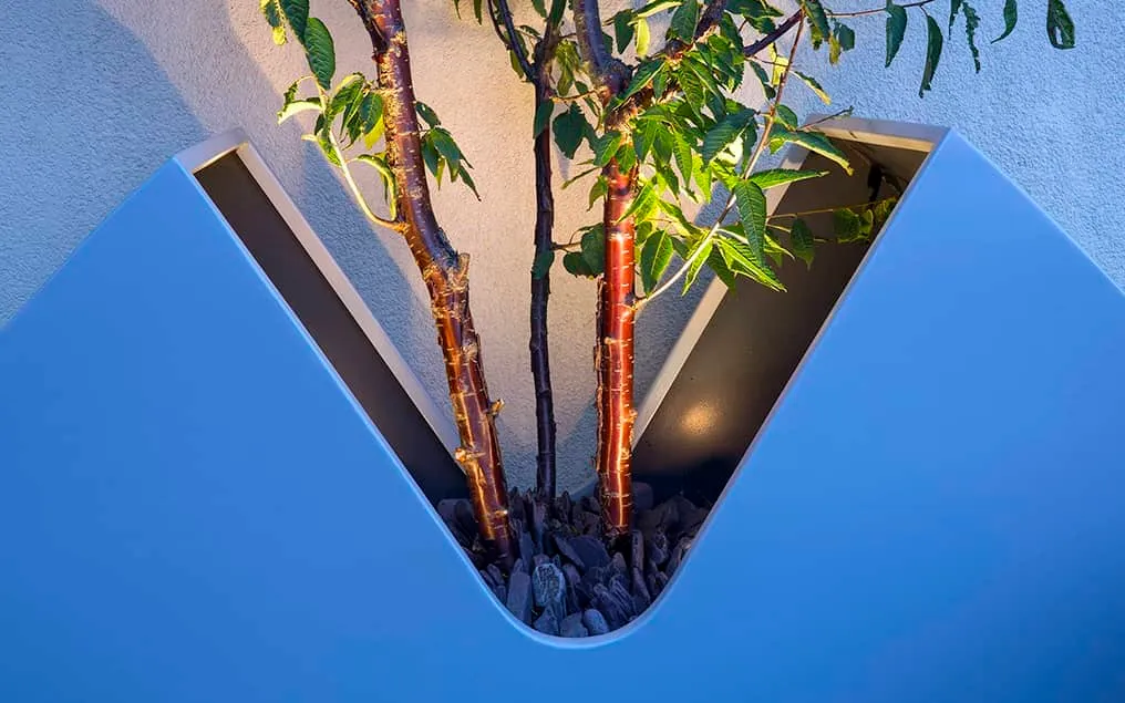 rooftop tree planters