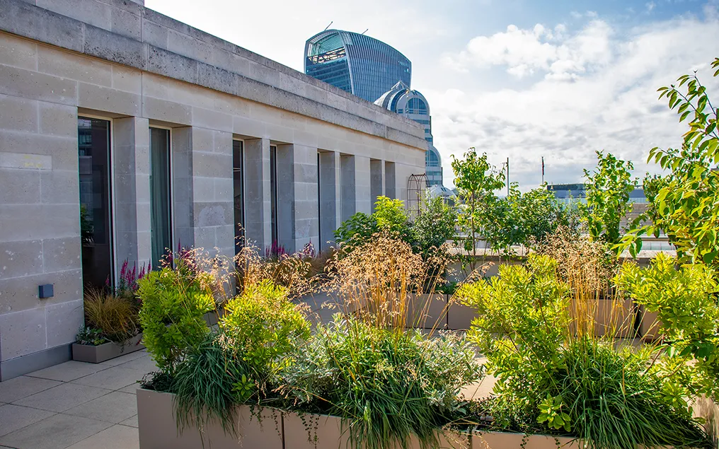 roof terrace landmarks london