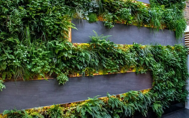 green wall