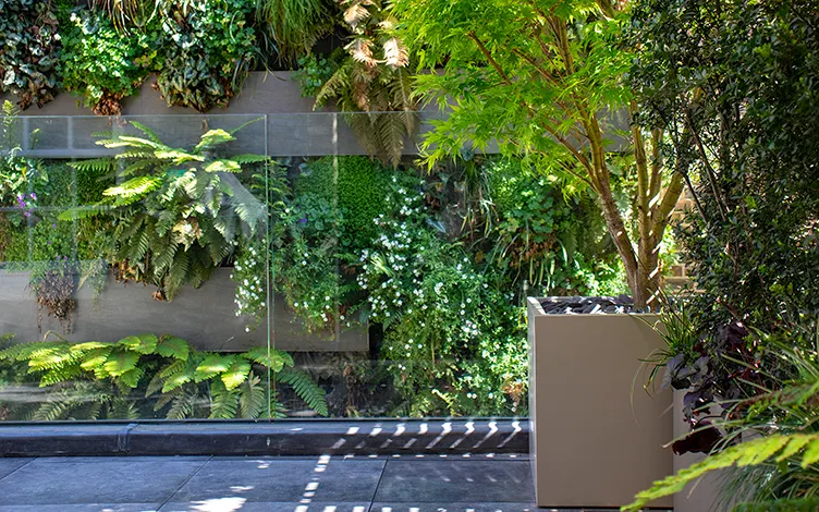 living wall courtyard