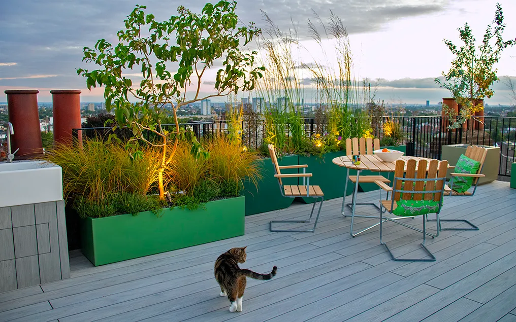 modern rooftop trees