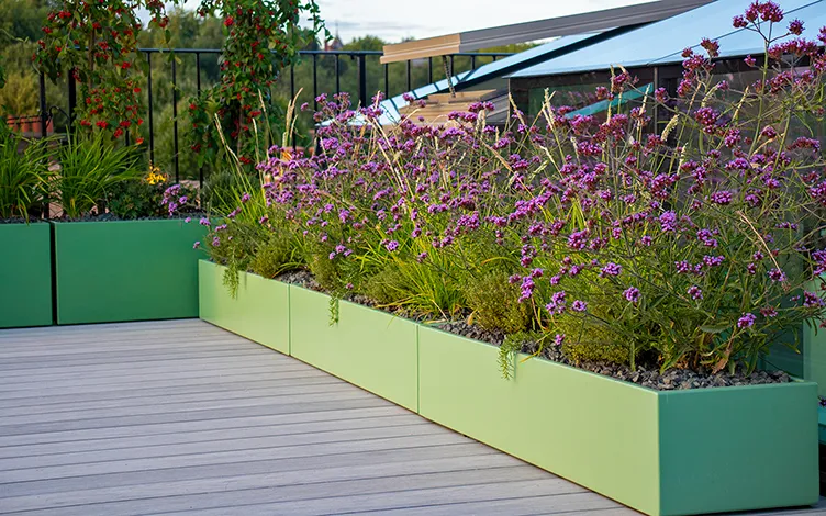 troughs planting