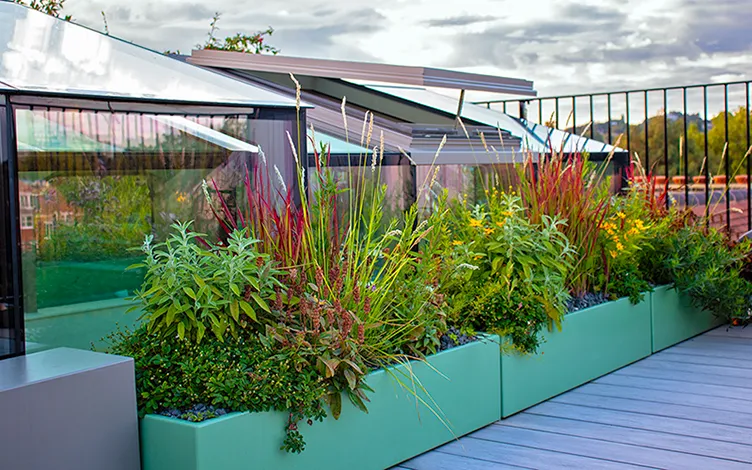 modern herb troughs rooftop