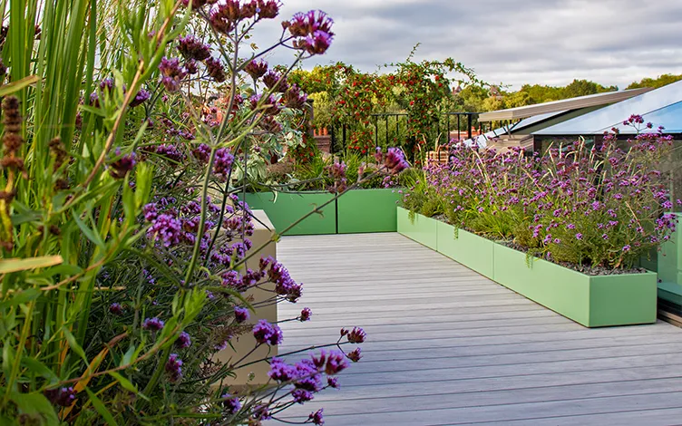 rooftop troughs