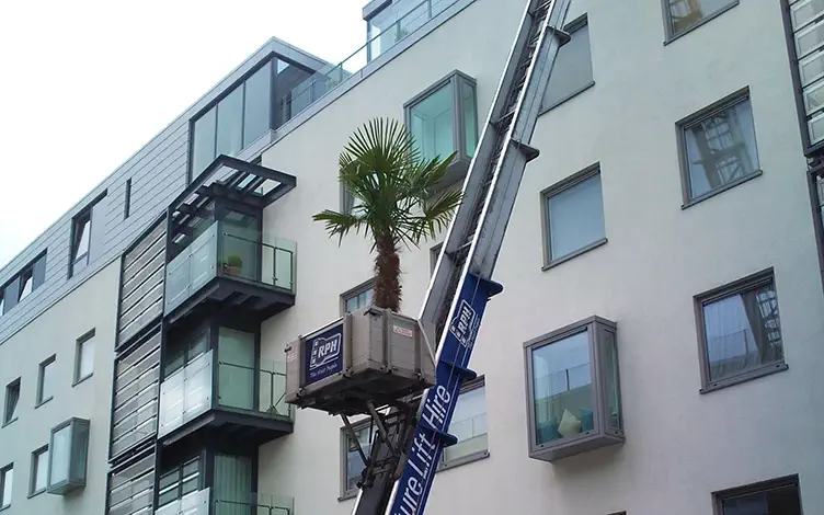 tree furniture lift