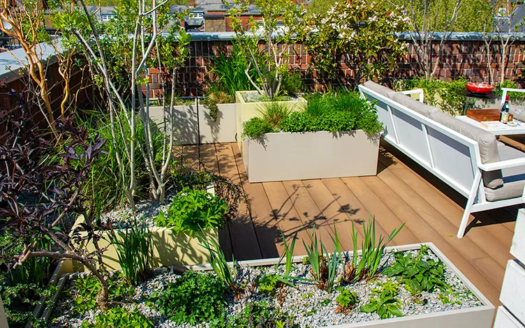 roof garden herbs