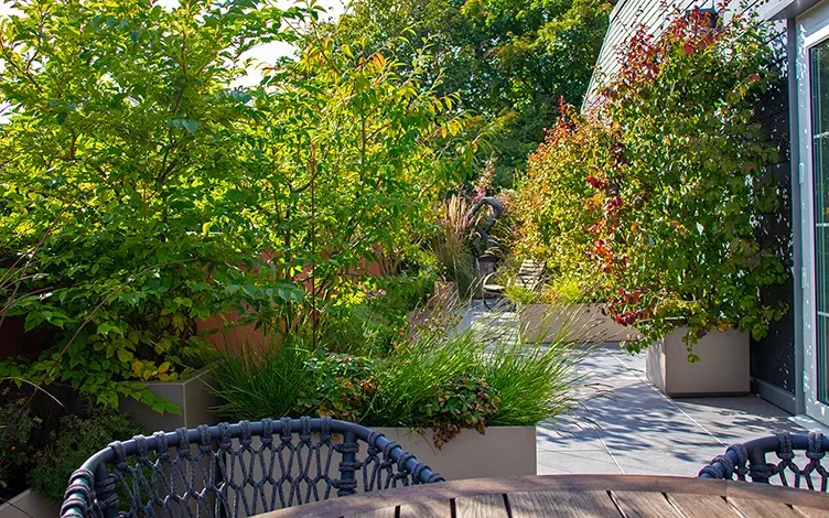 lush roof terrace