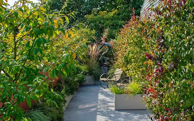 leafy rooftop