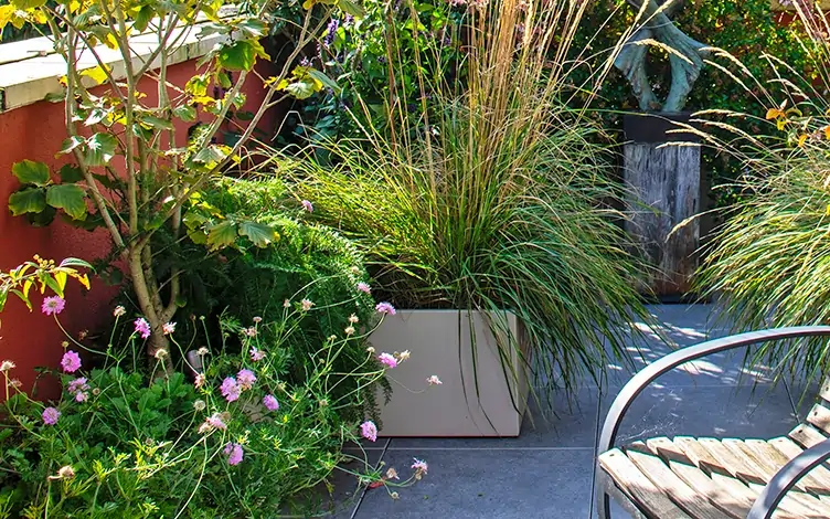 perennial troughs