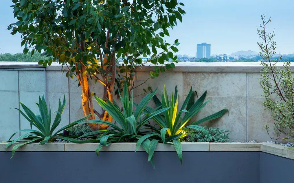 architectural roof gardens