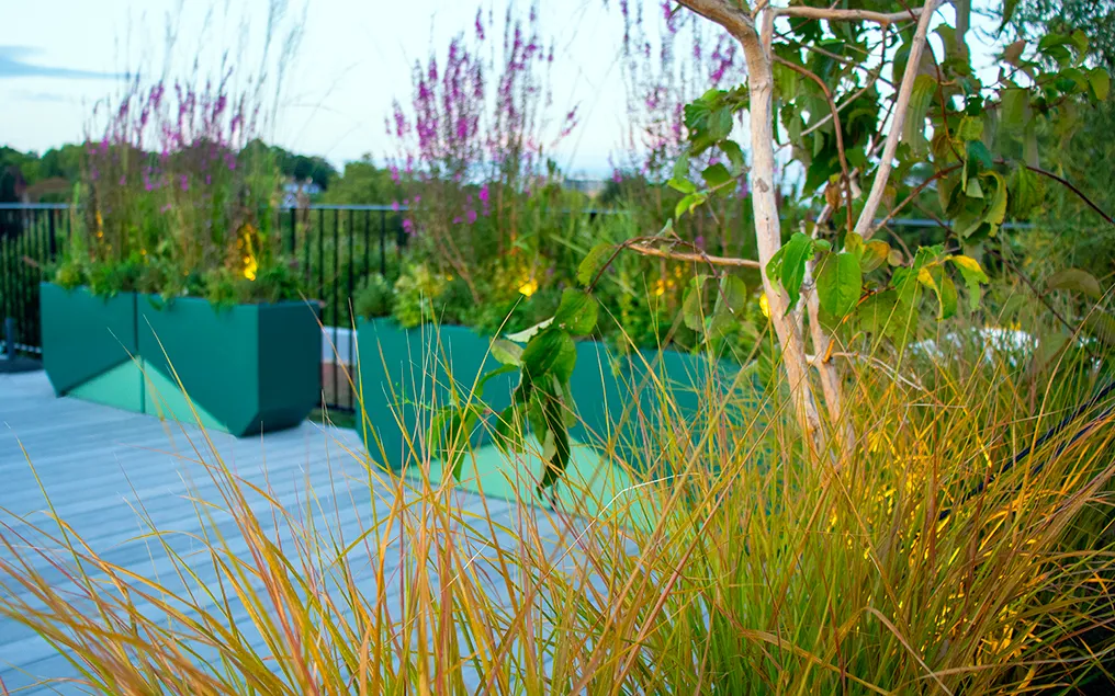 rooftop planters